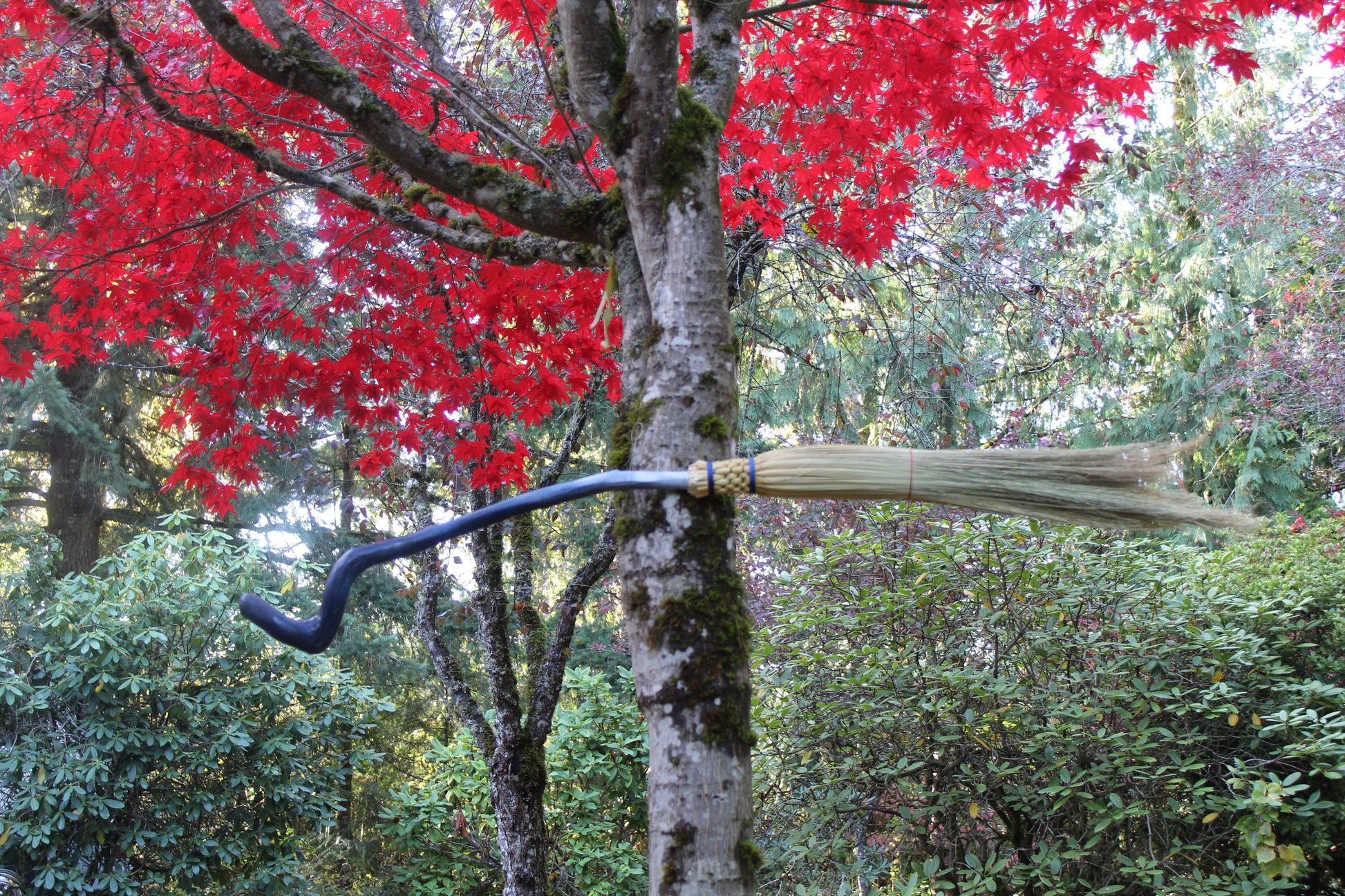 Ombre Odyssey Broom