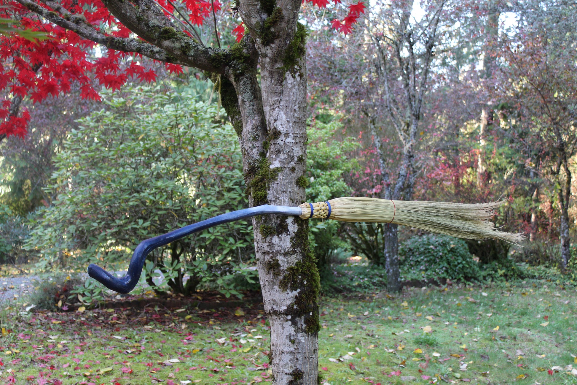 Ombre Odyssey Broom