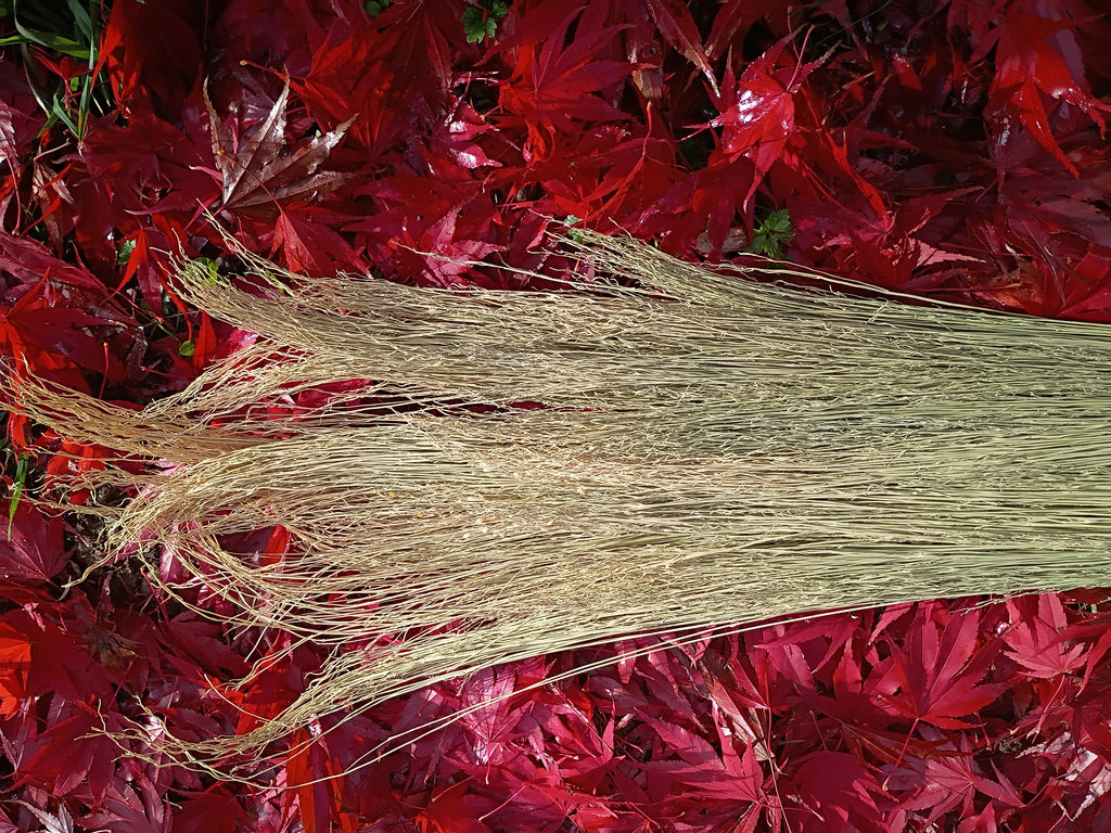 Flight of Fancy Broom