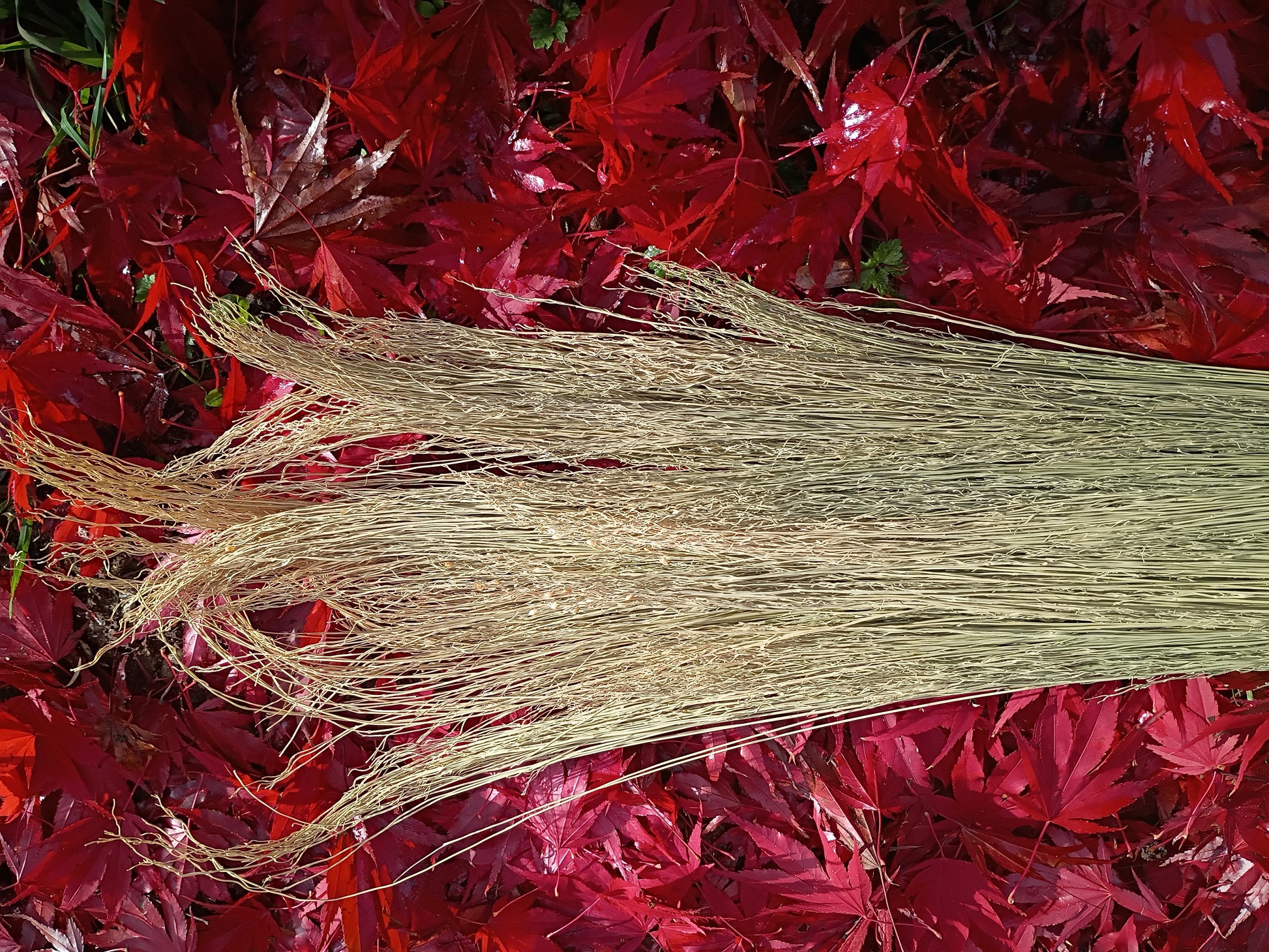 Flight of Fancy Broom