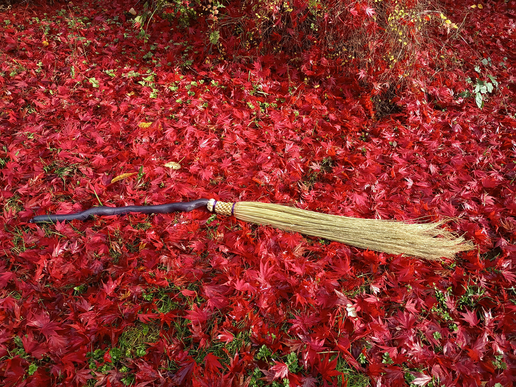 Flight of Fancy Broom