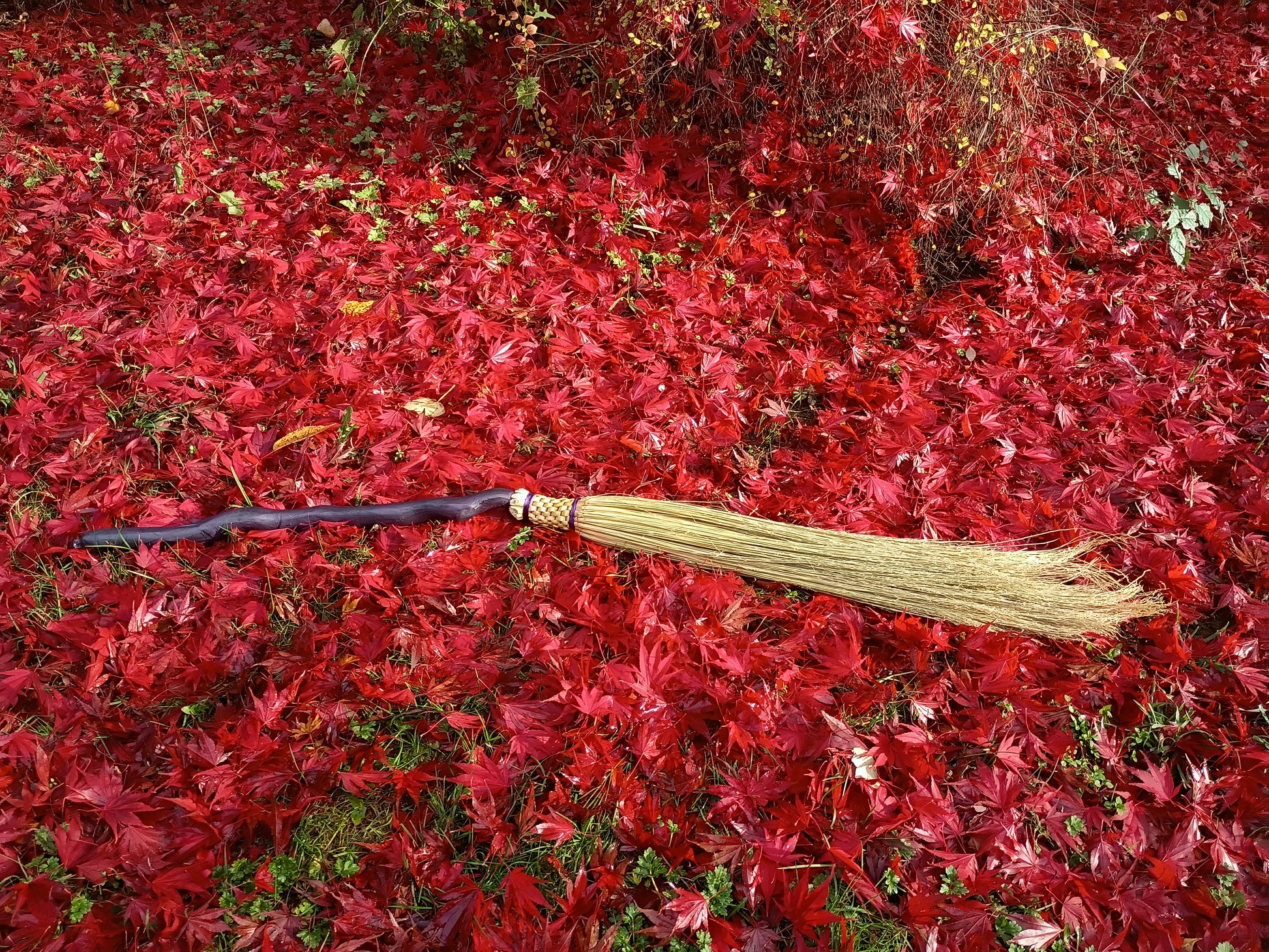 Flight of Fancy Broom