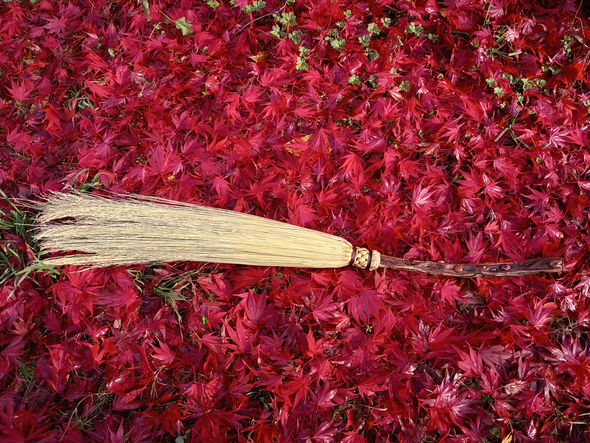 Elemental Energies Broom