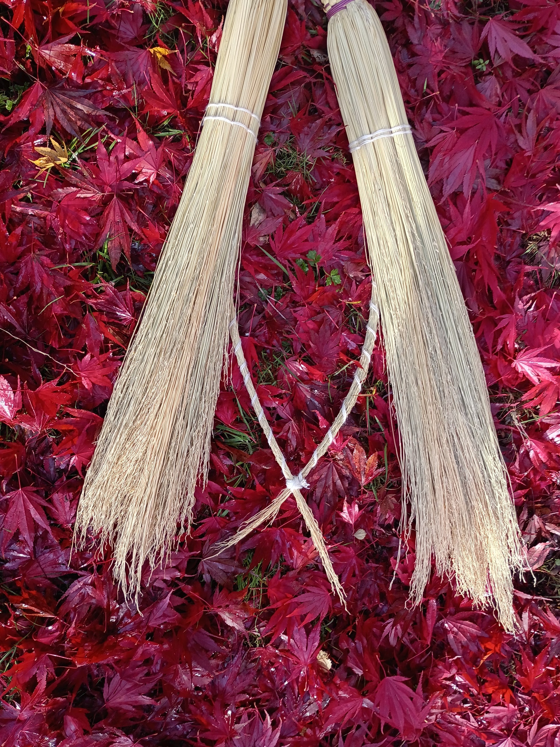 Lover’s Knot Broom