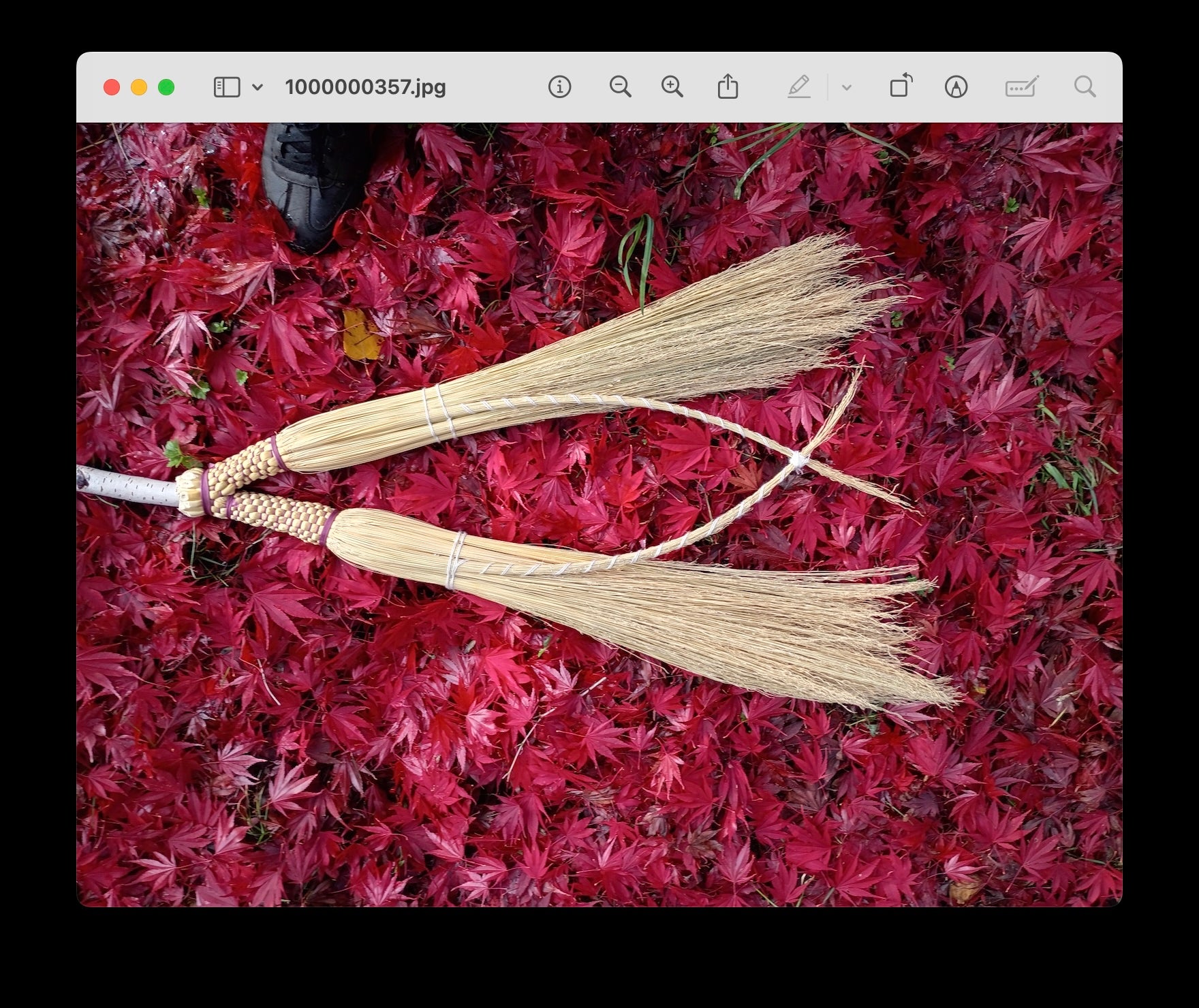 Lover’s Knot Broom