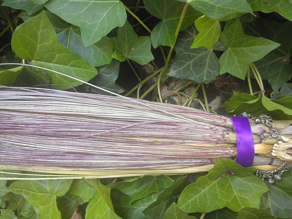 A close-up of a brooms natural and purple hand dyed broomcorn. Decorated with purple ribbon and silver bells, set against a background of green ivy leaves outside.