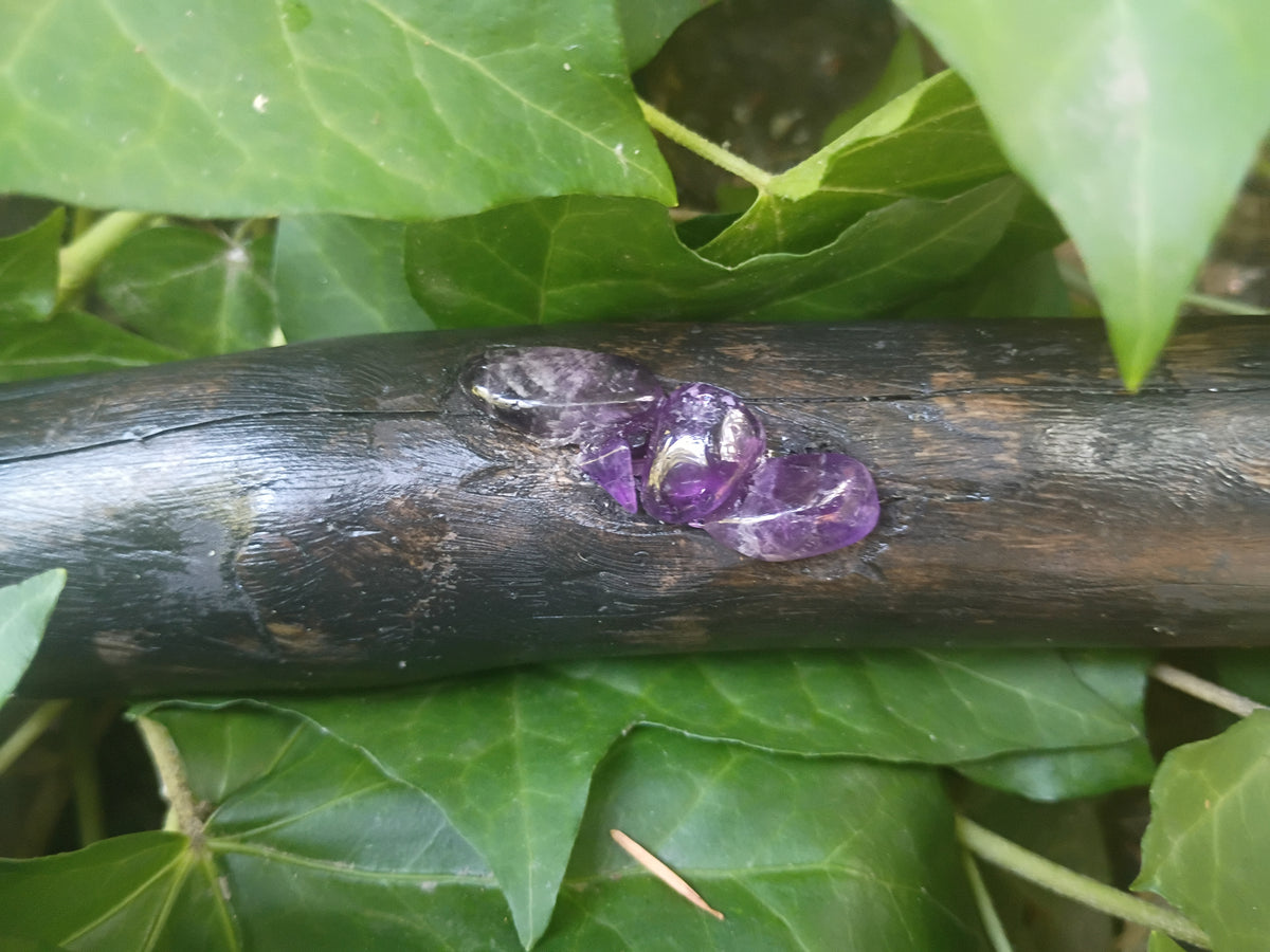 Three polished purple amethyst gemstones clustered on a dark stained driftwood broom handle surrounded by green ivy leaves.