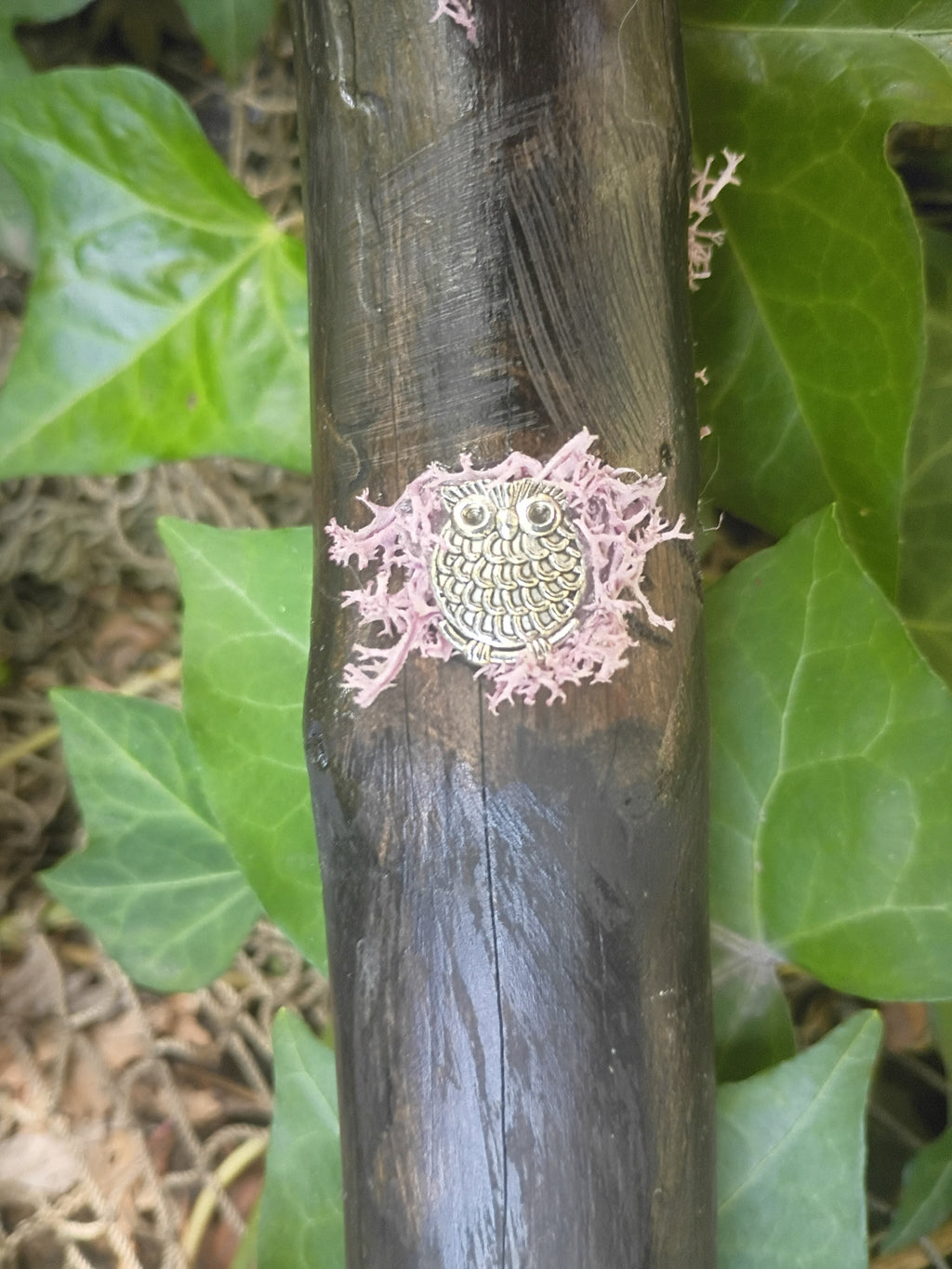 A close-up of a dark stained, driftwood broom handle with sterling silver owl ornament and purple moss against an outdoor, ivy leaf backdrop.