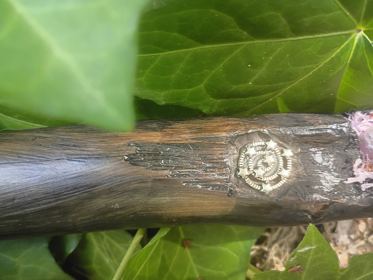 Close-up of top portion of driftwood handle with a sterling silver spiral emblem, set against green ivy leaves.