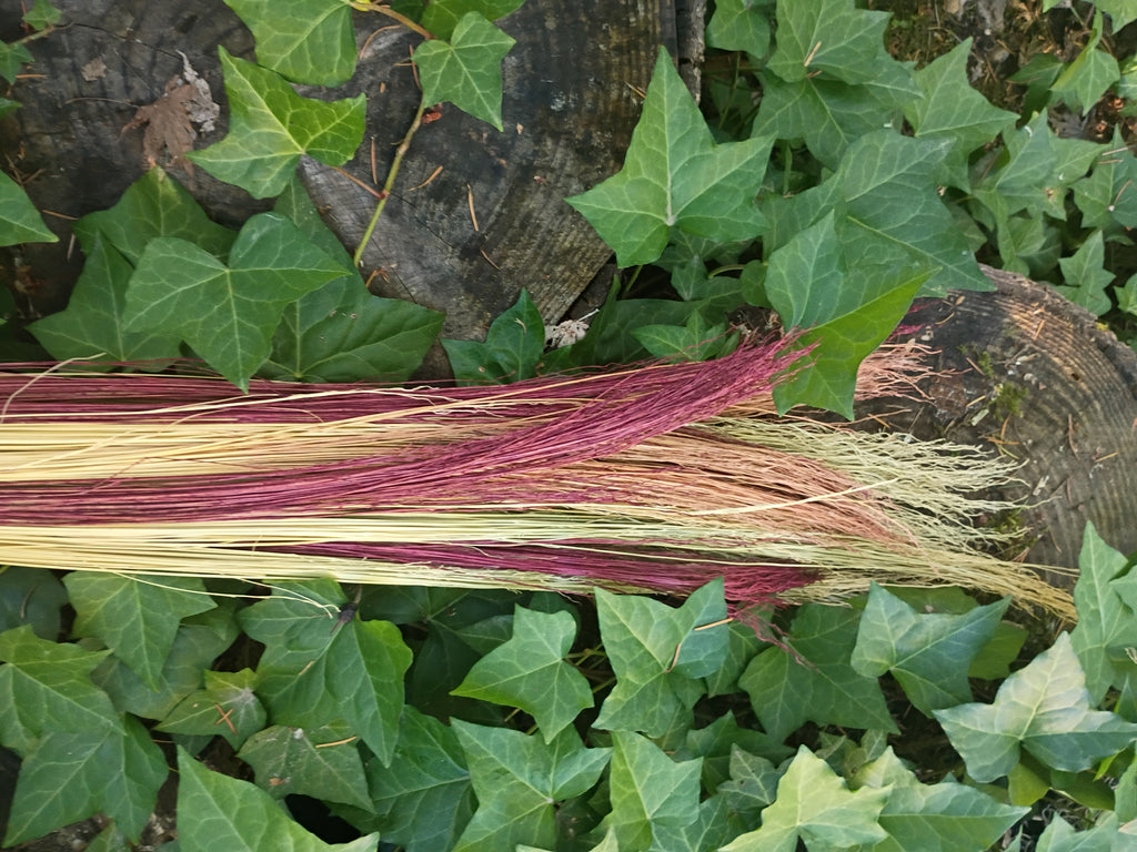Close up of natural and red hand dyed broomcorn laid on a bed of green ivy and dark wood logs outdoors.