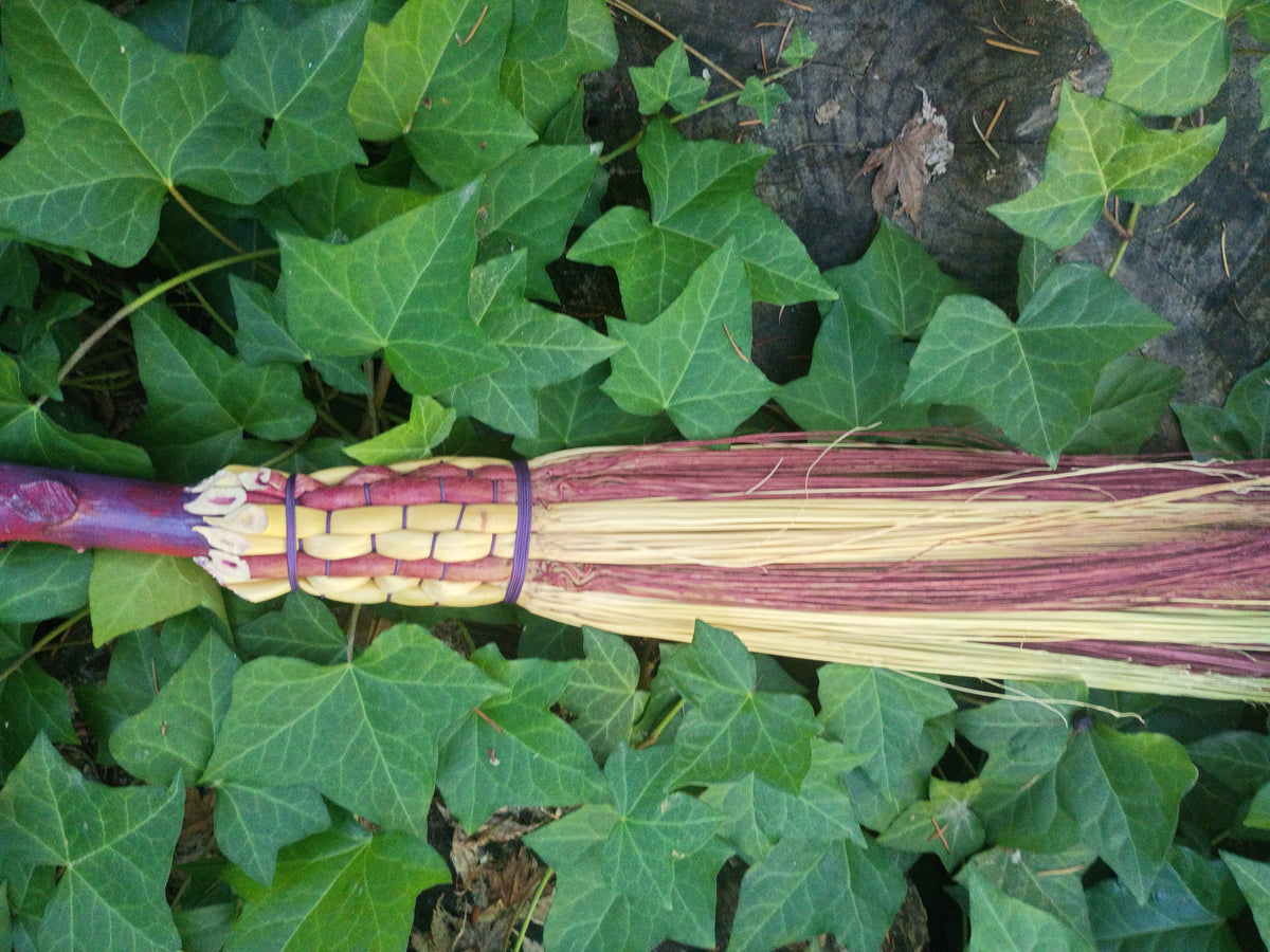 A handmade driftwood broom with purple, blue & red ombre style. Appalachian weave pattern woven with purple cord using natural and red hand dyed broomcorn, lying on green ivy leaves outdoors.