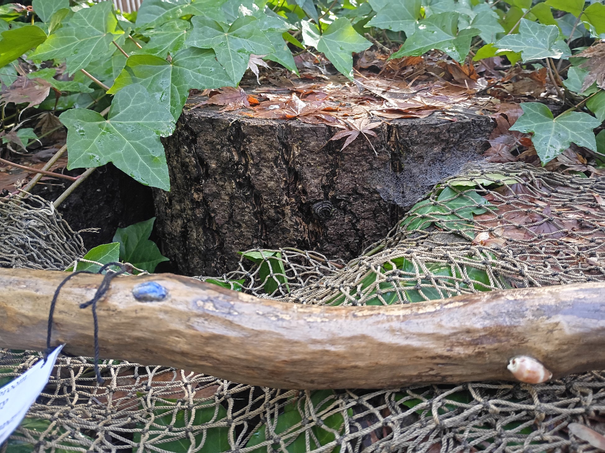 Sea-Swept Driftwood Broom