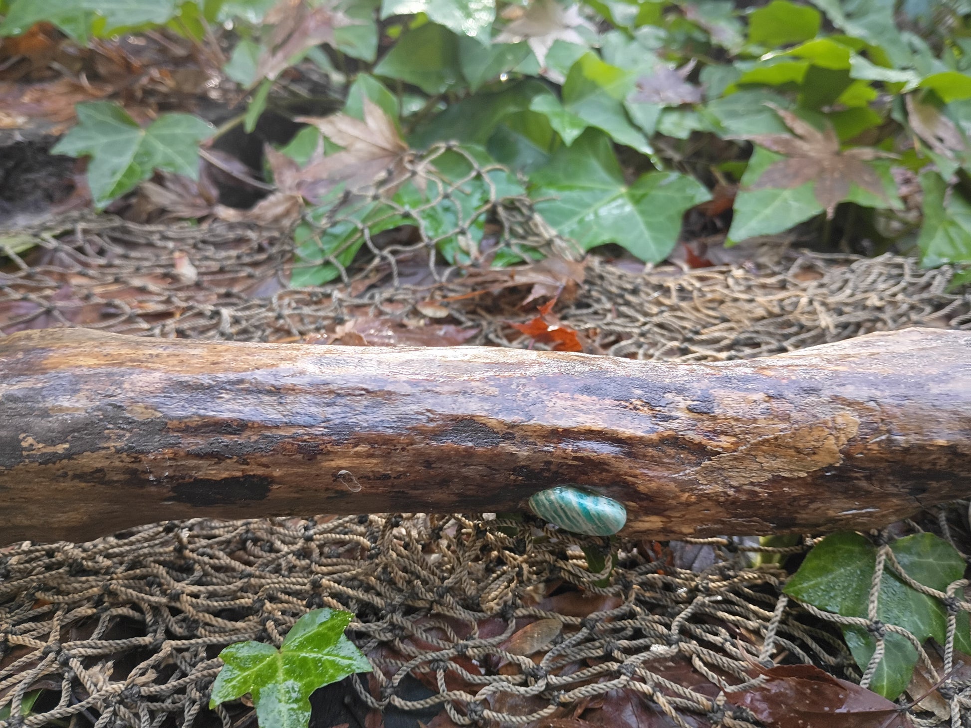 Sea-Swept Driftwood Broom