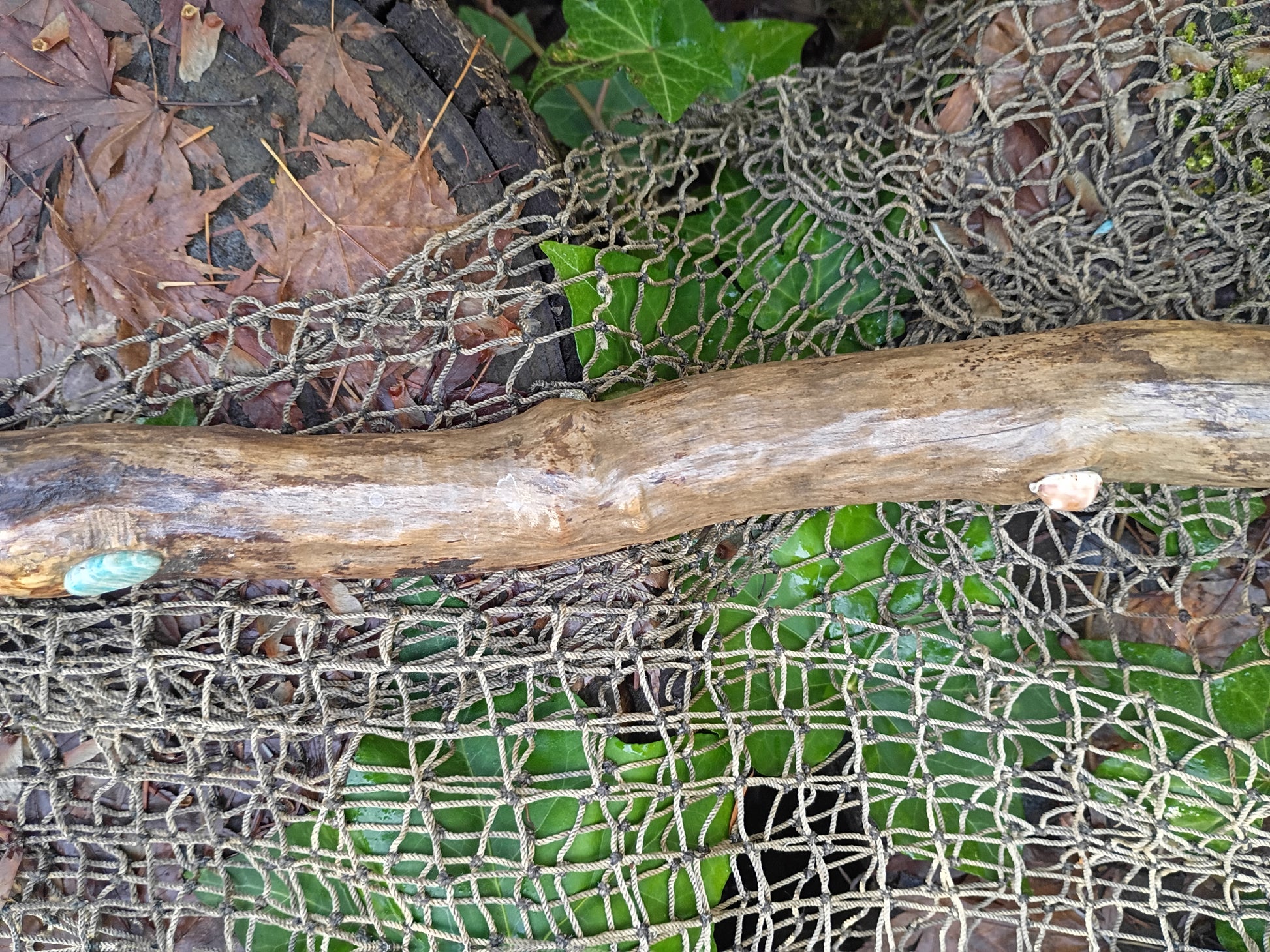Sea-Swept Driftwood Broom