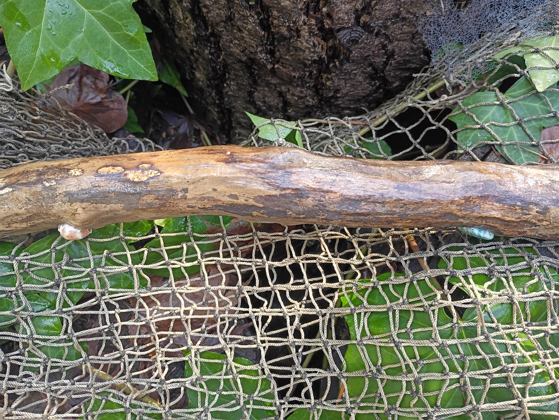 Sea-Swept Driftwood Broom