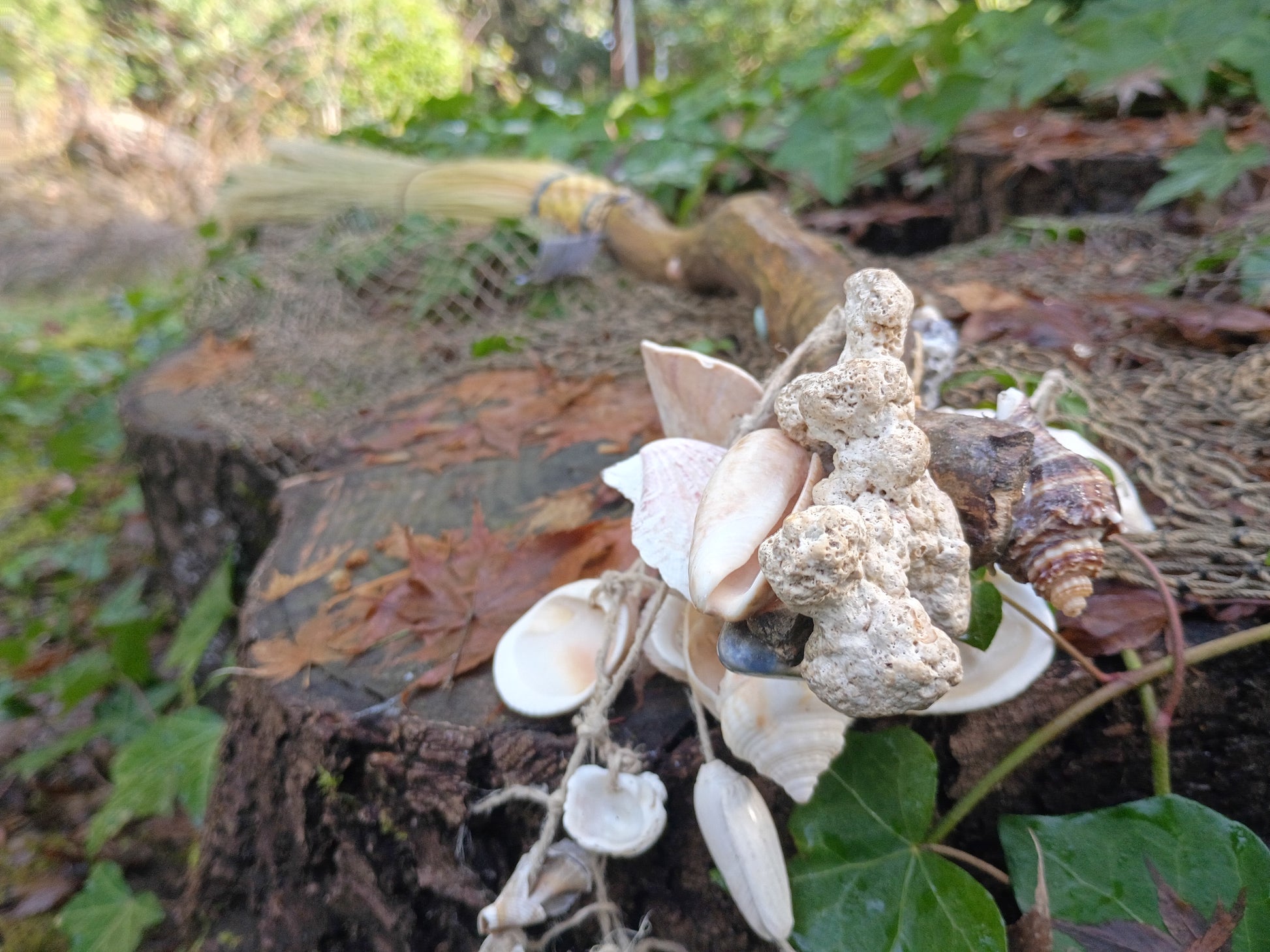Sea-Swept Driftwood Broom