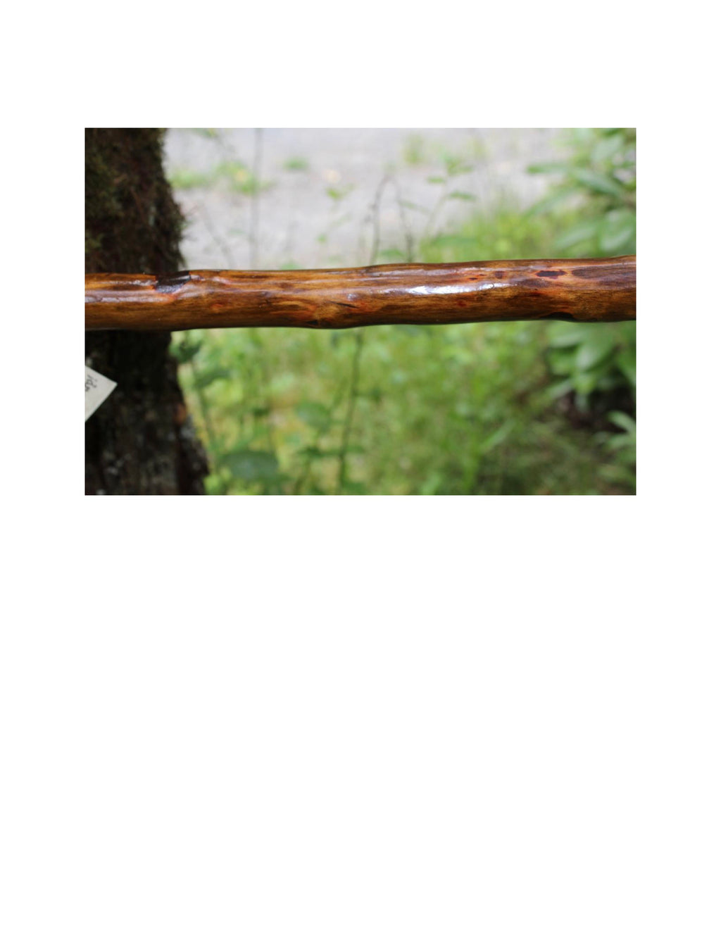 Simple Sweeper Broom