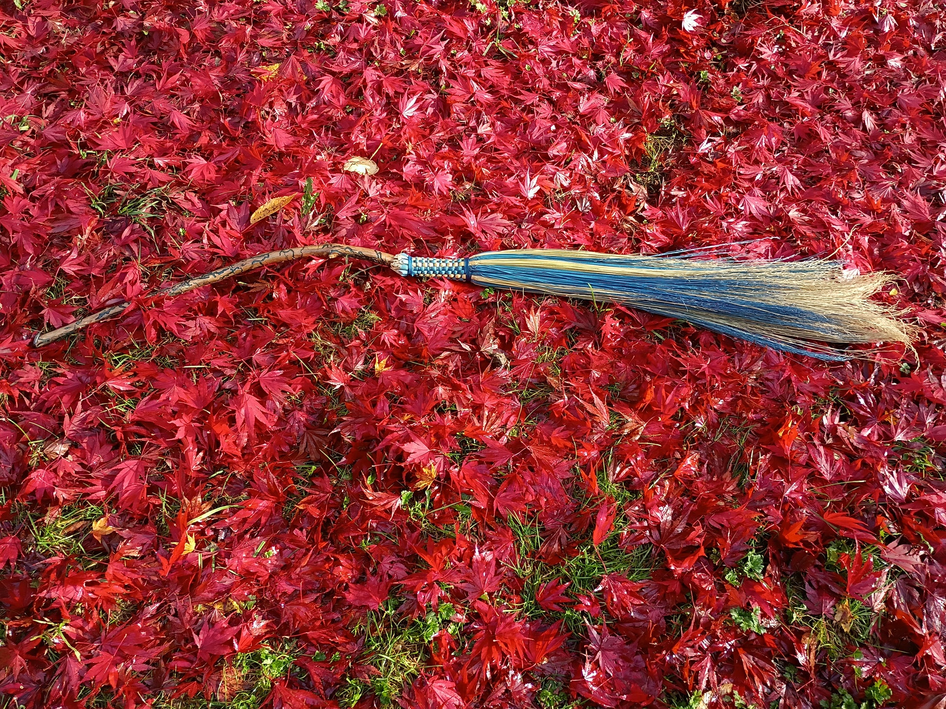 Water Witch Broom