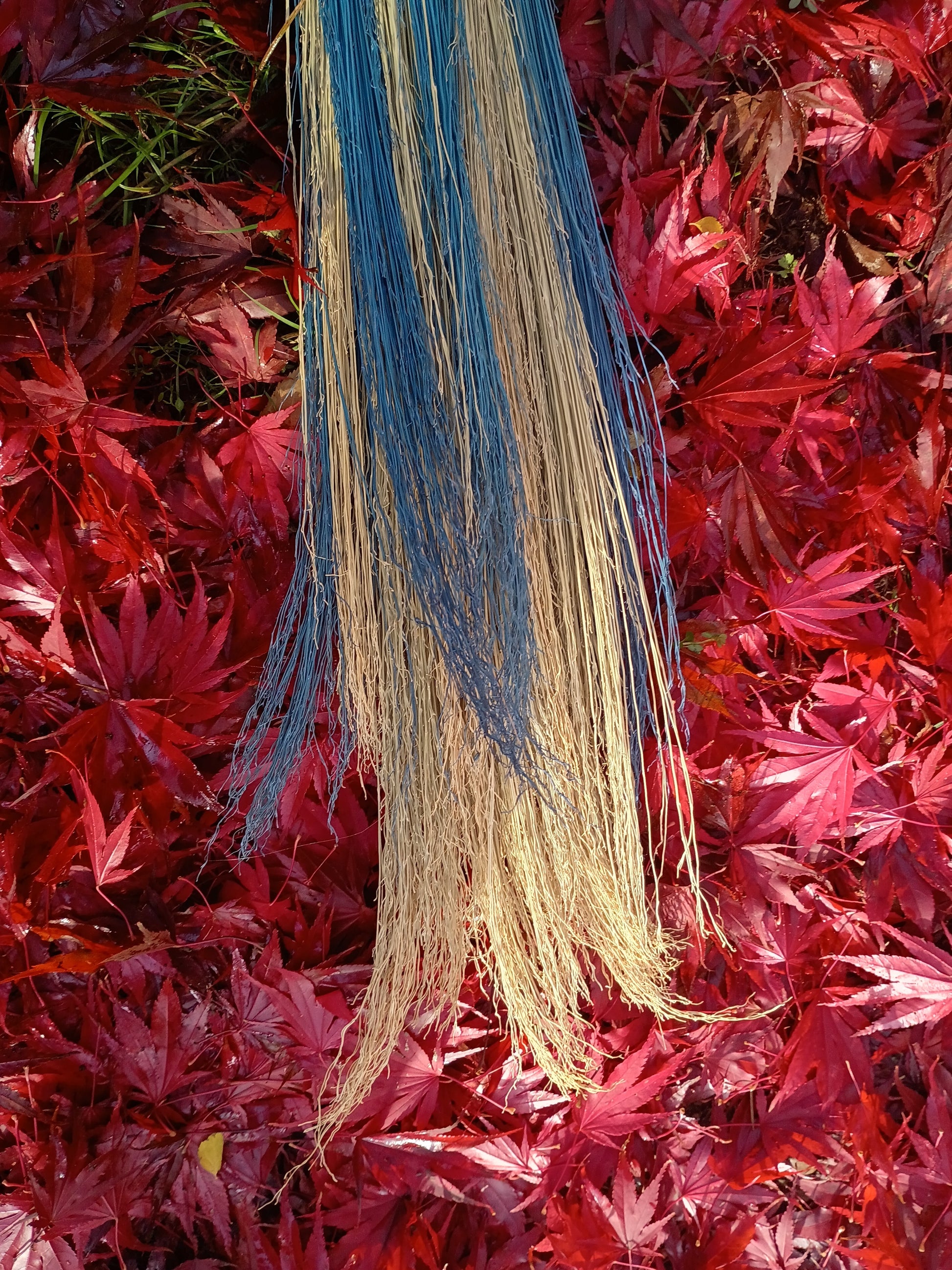 Water Witch Broom
