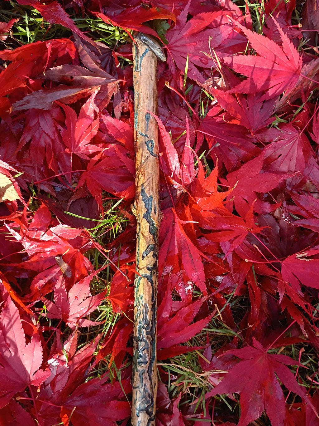 Water Witch Broom