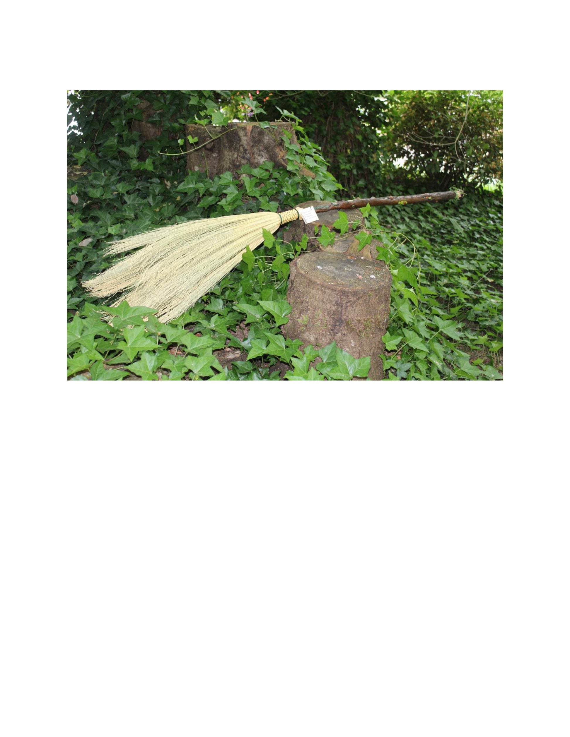 Fantastic Forest Broom