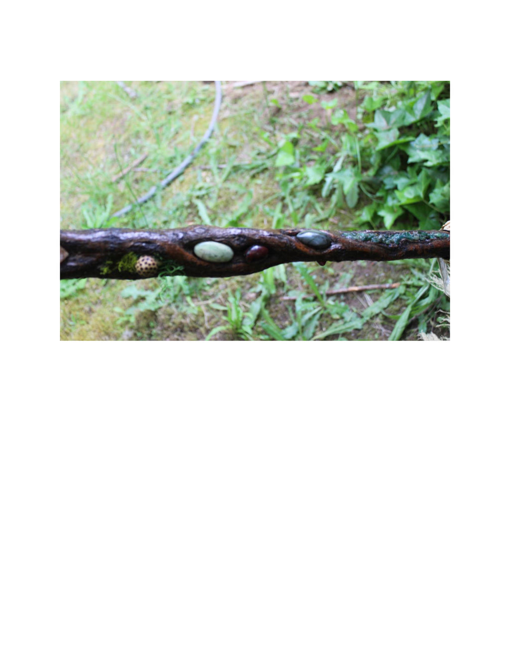 Fantastic Forest Broom
