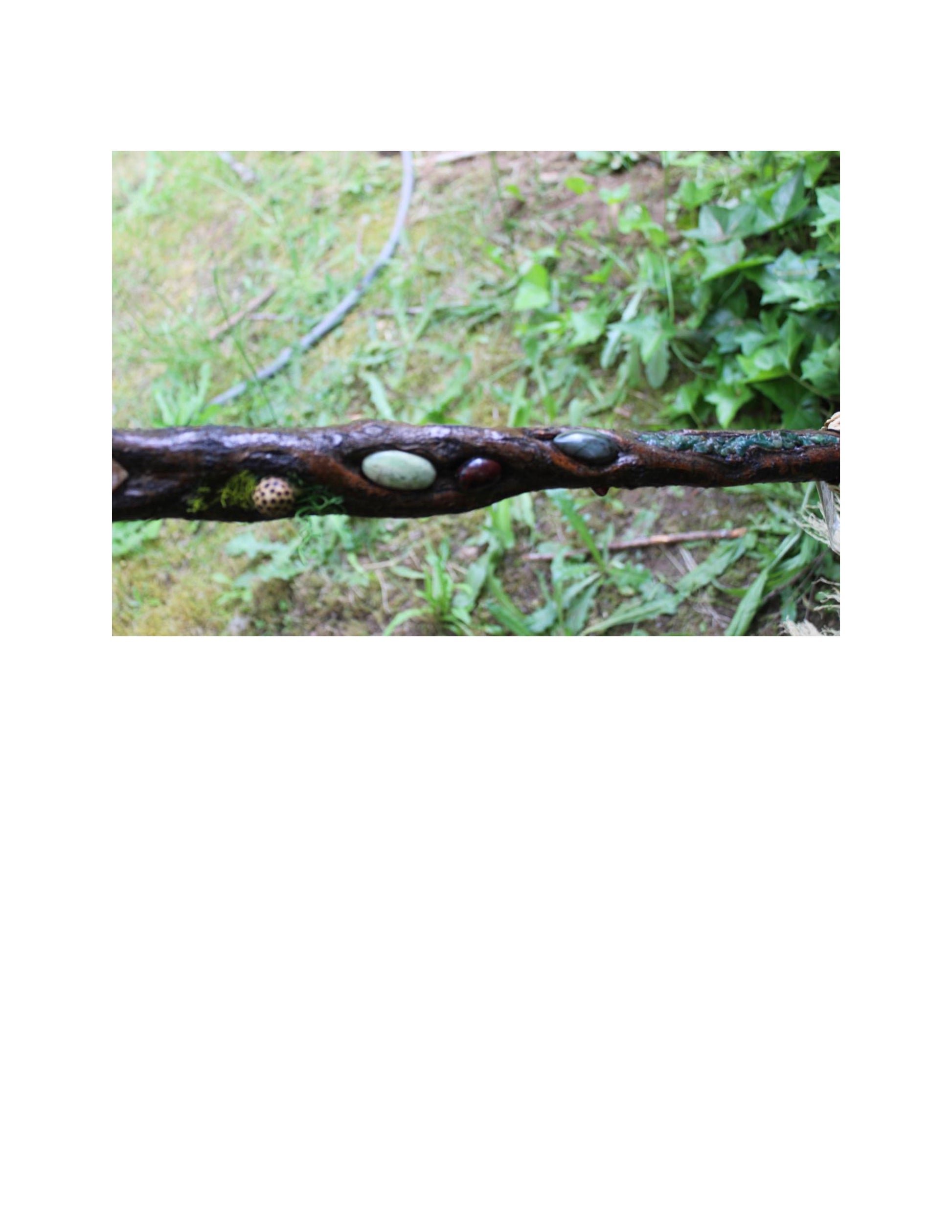 Fantastic Forest Broom