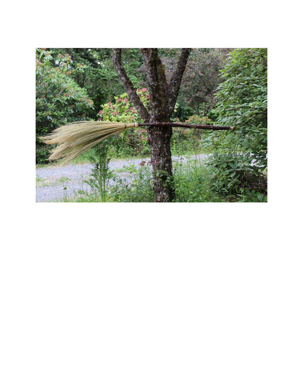 Fantastic Forest Broom