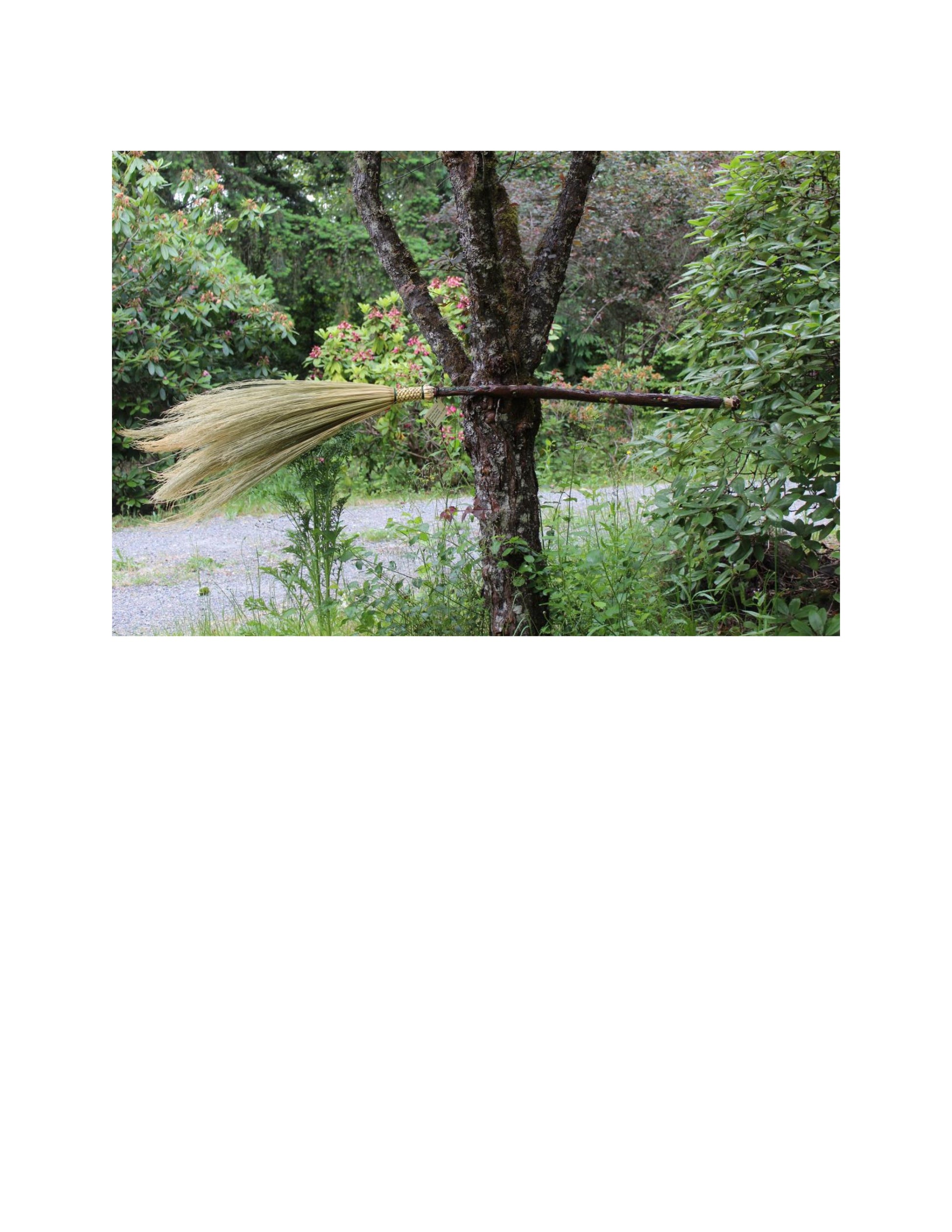 Fantastic Forest Broom