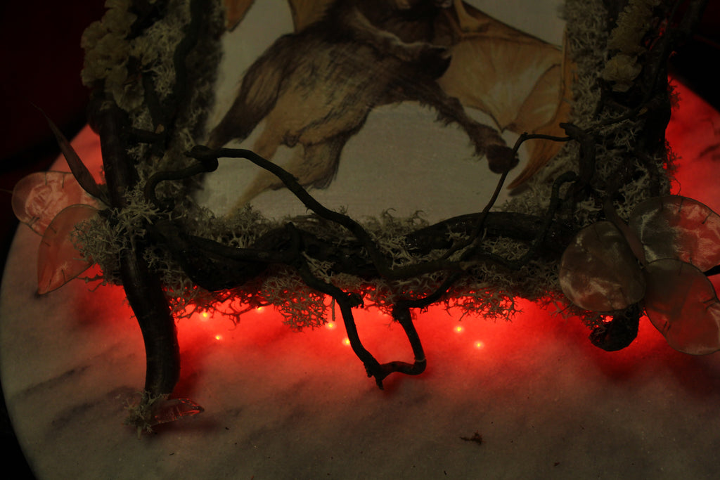 Hidden Realms Flying Artwork