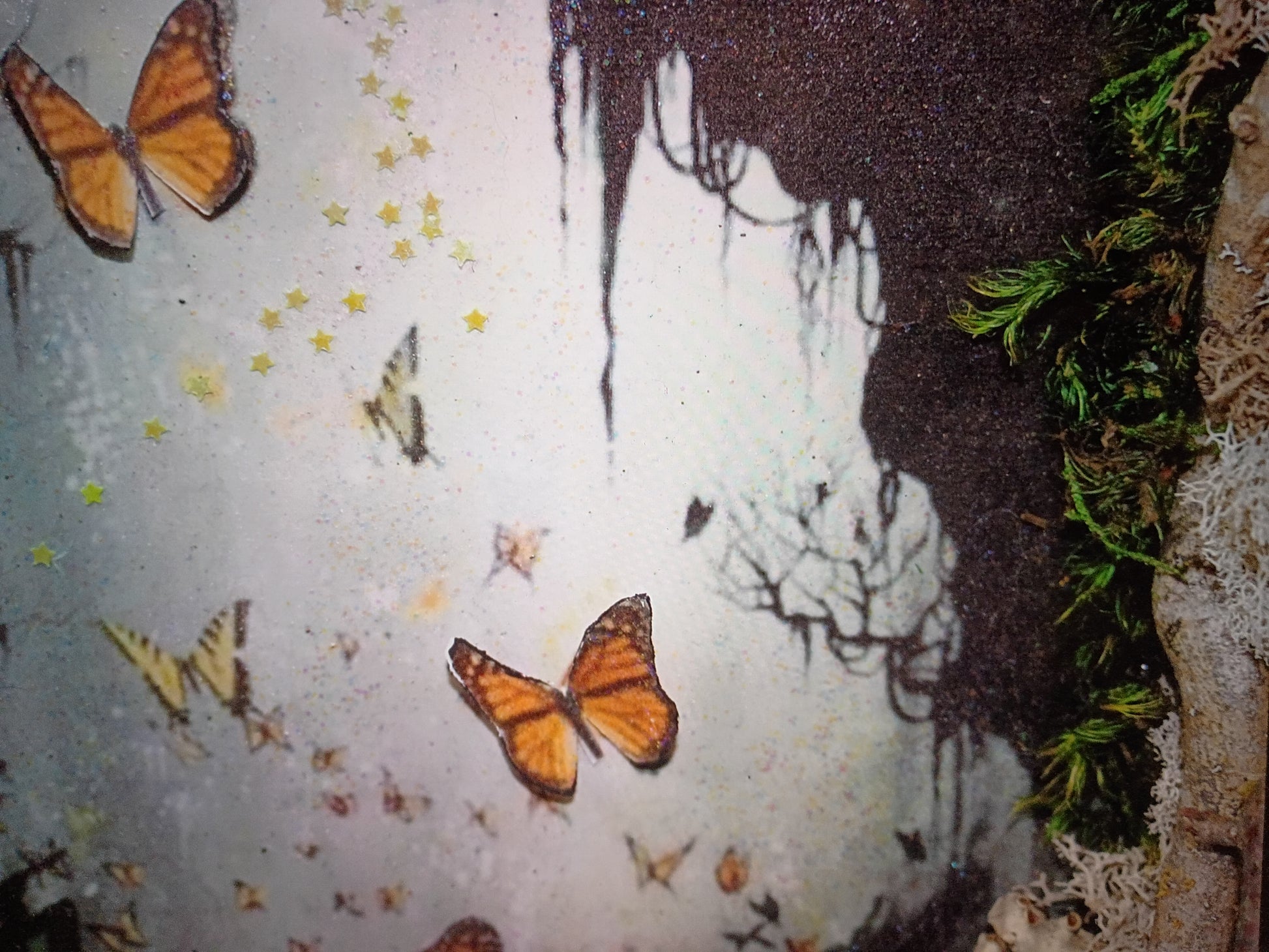 Hidden Realms Midnight Fairy Artwork