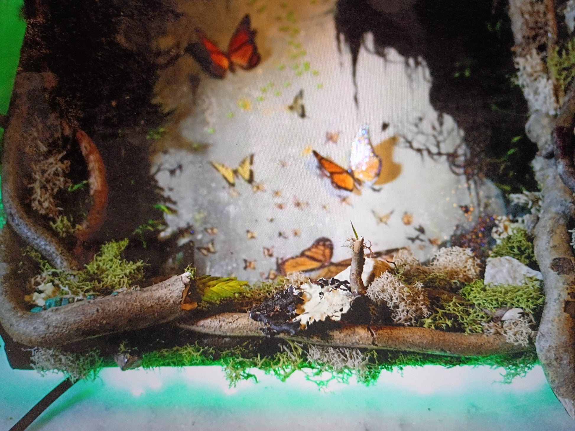 Hidden Realms Midnight Fairy Artwork