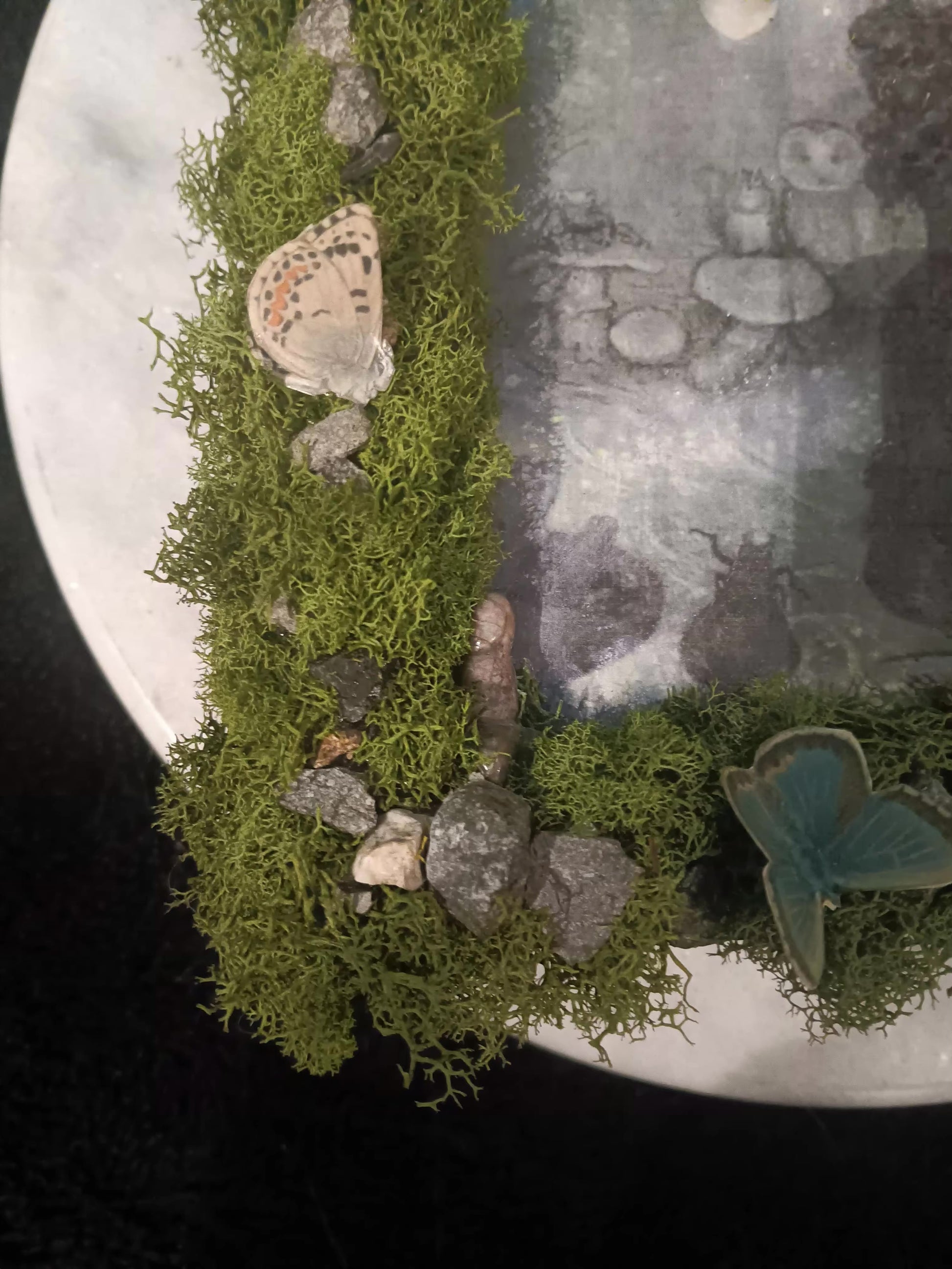 Hidden Realms Pan’s Woodland Night Song Artwork