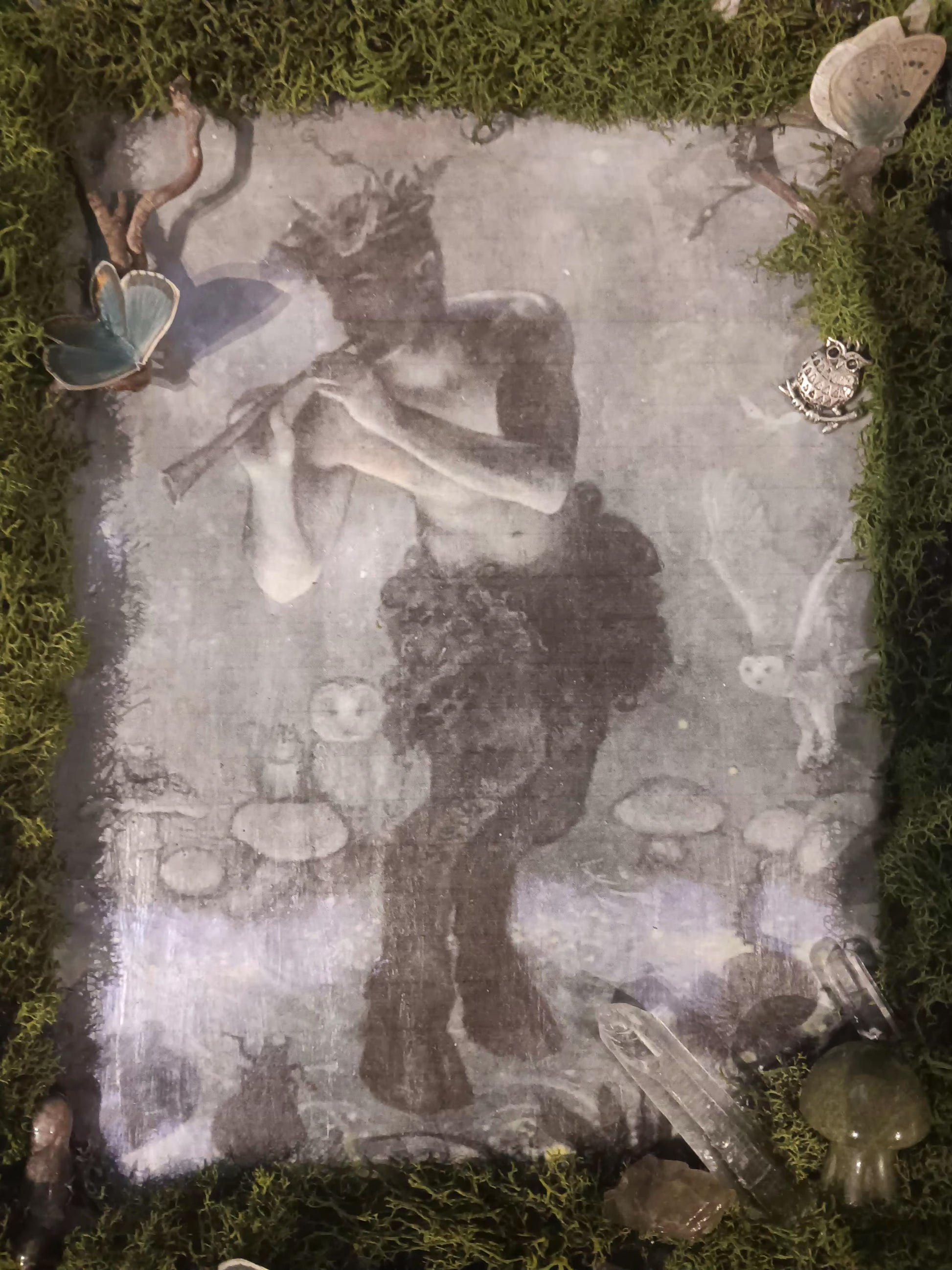 Hidden Realms Pan’s Woodland Night Song Artwork