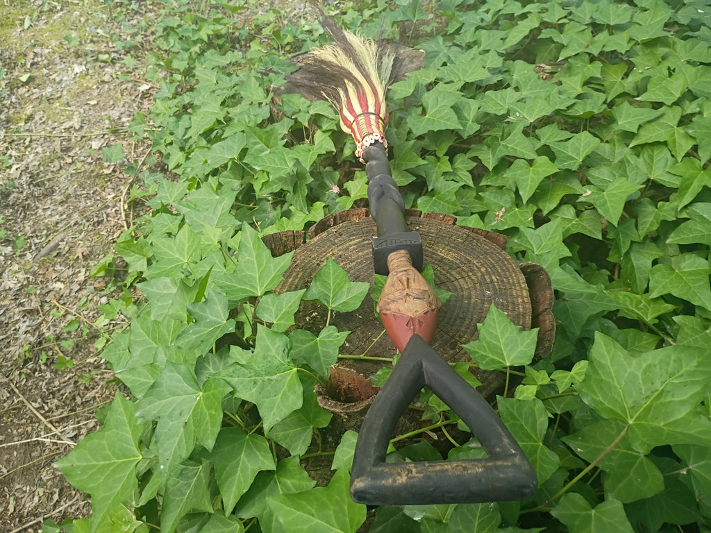 Wisdom Bringer Broom