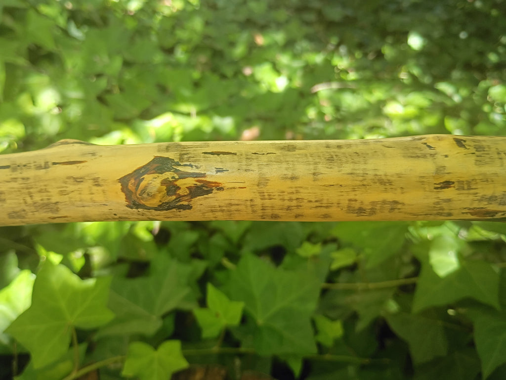 Birch Simple Sweeper Broom