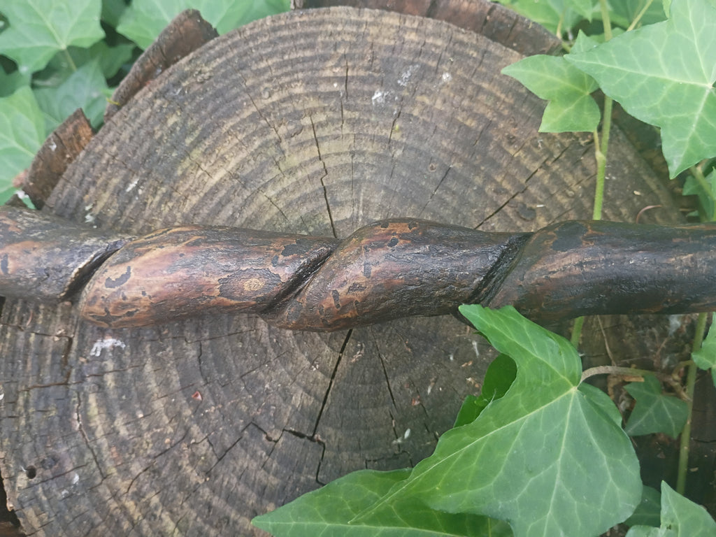Dragon Claw Broom