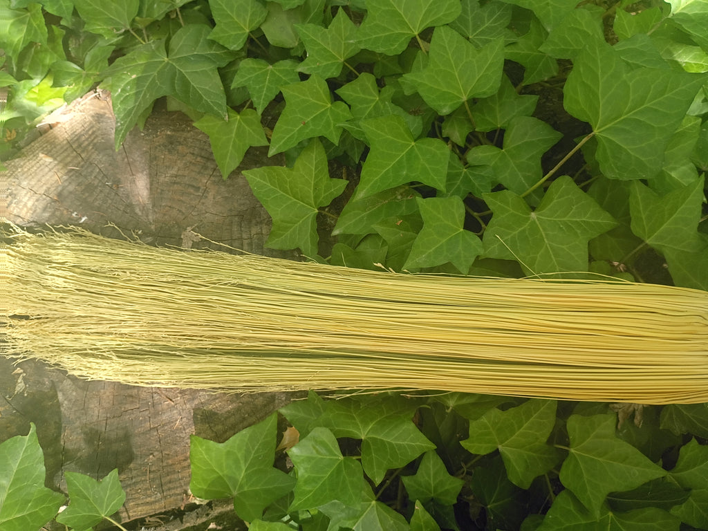 Hamsa Broom