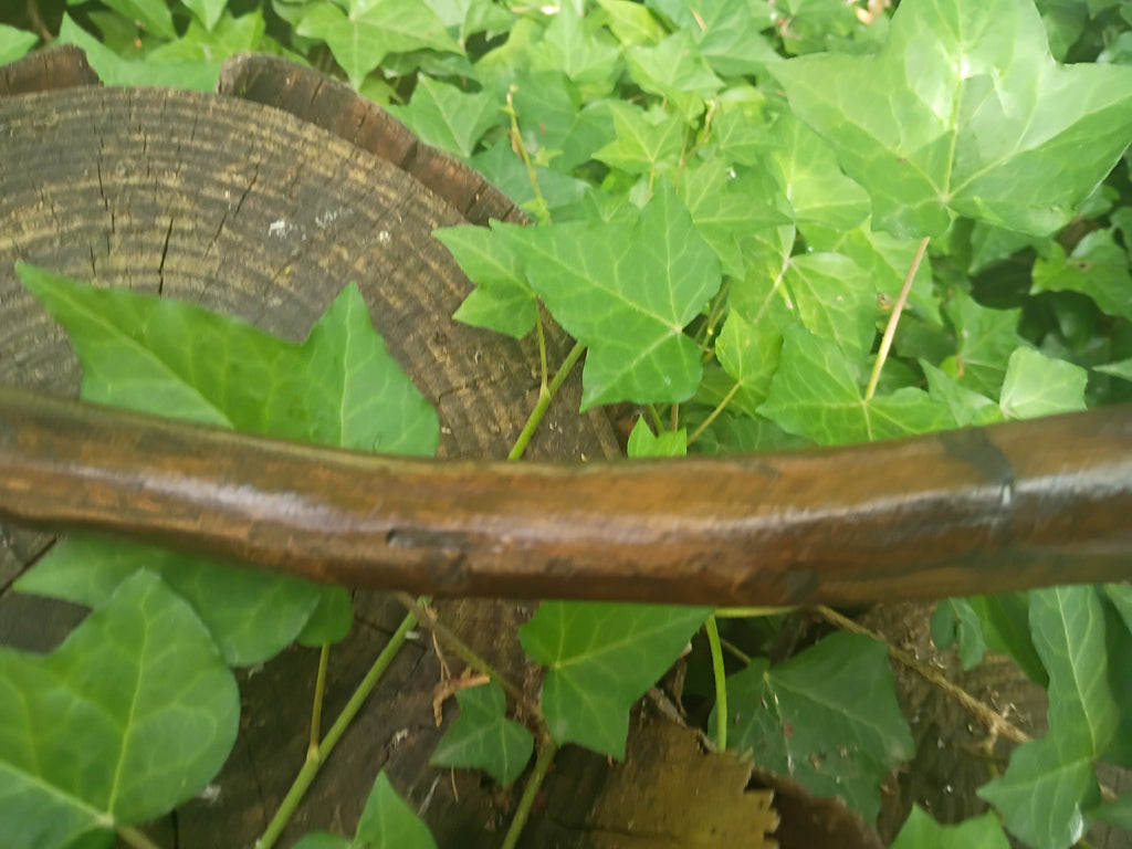 Hamsa Broom