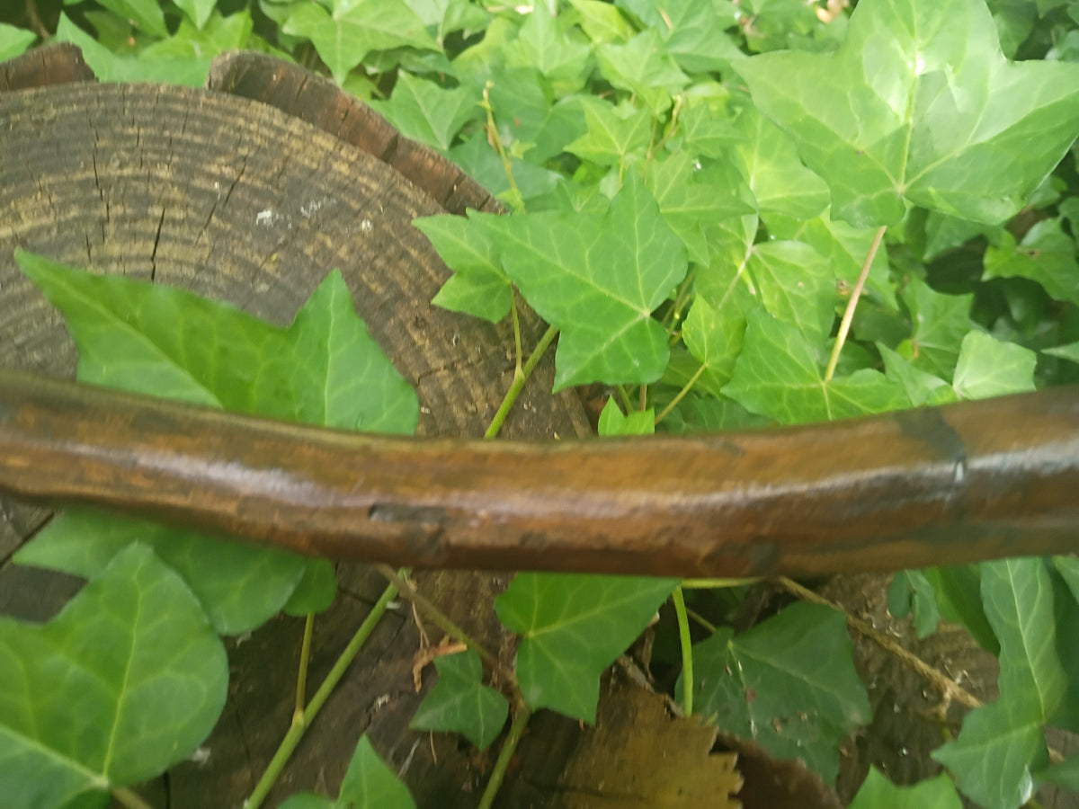 Hamsa Broom