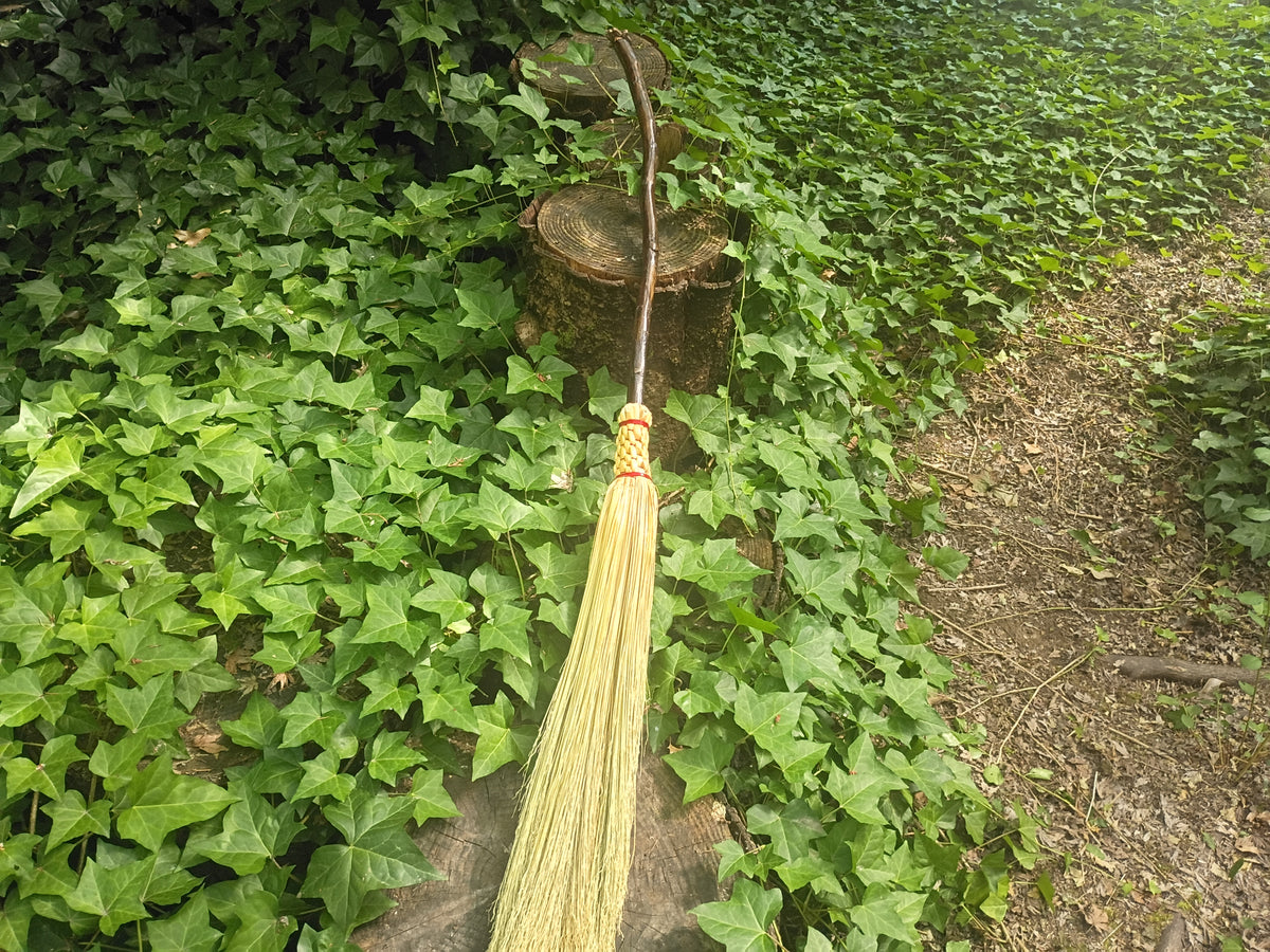 Hamsa Broom