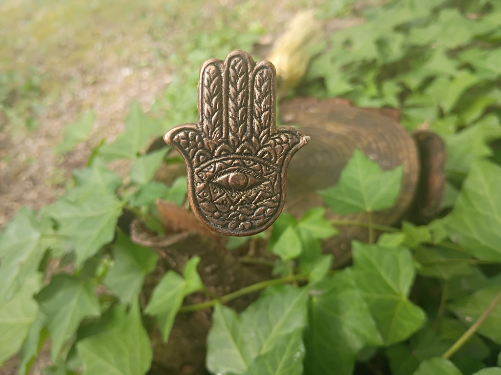 Hamsa Broom