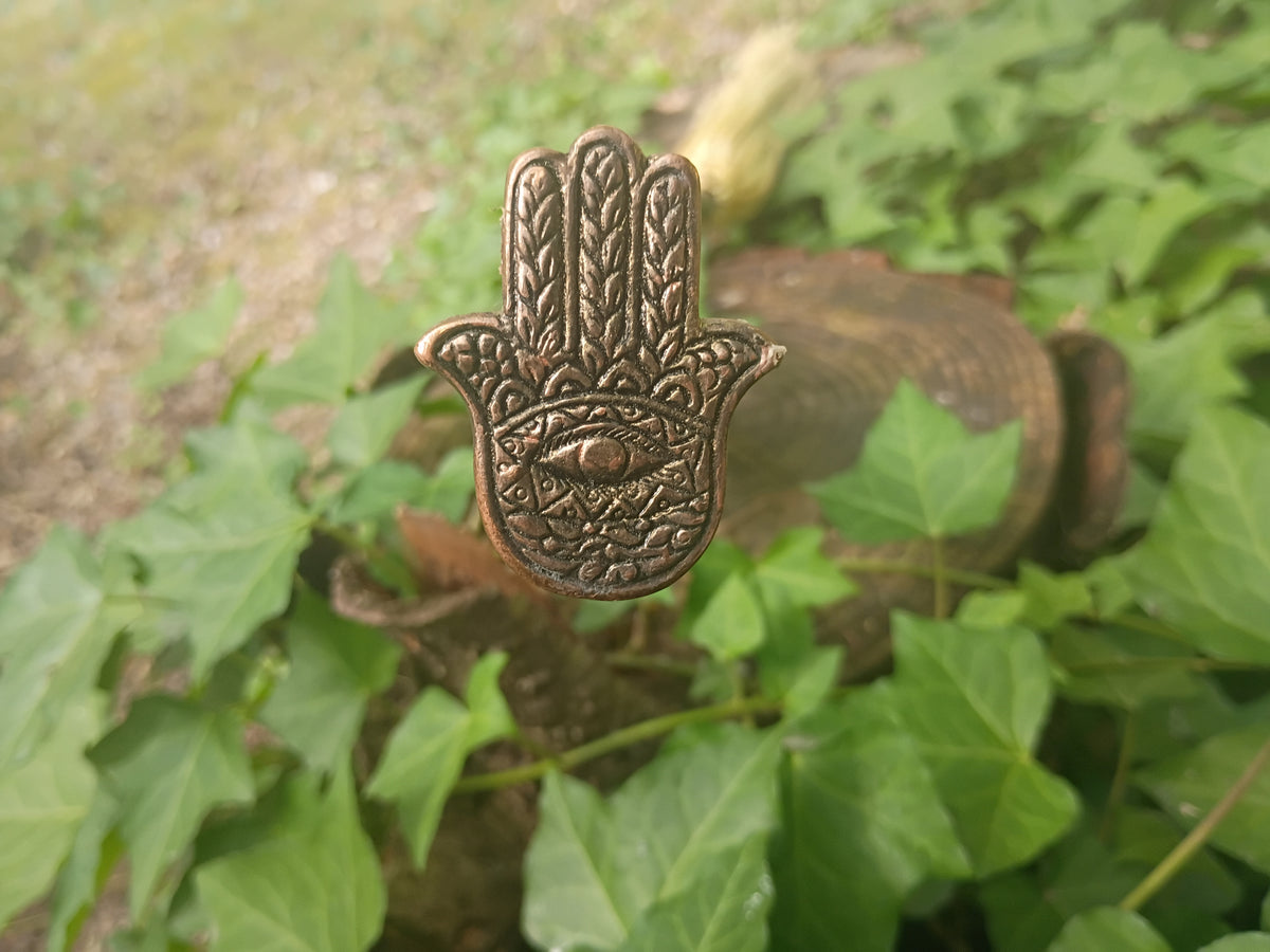 Hamsa Broom