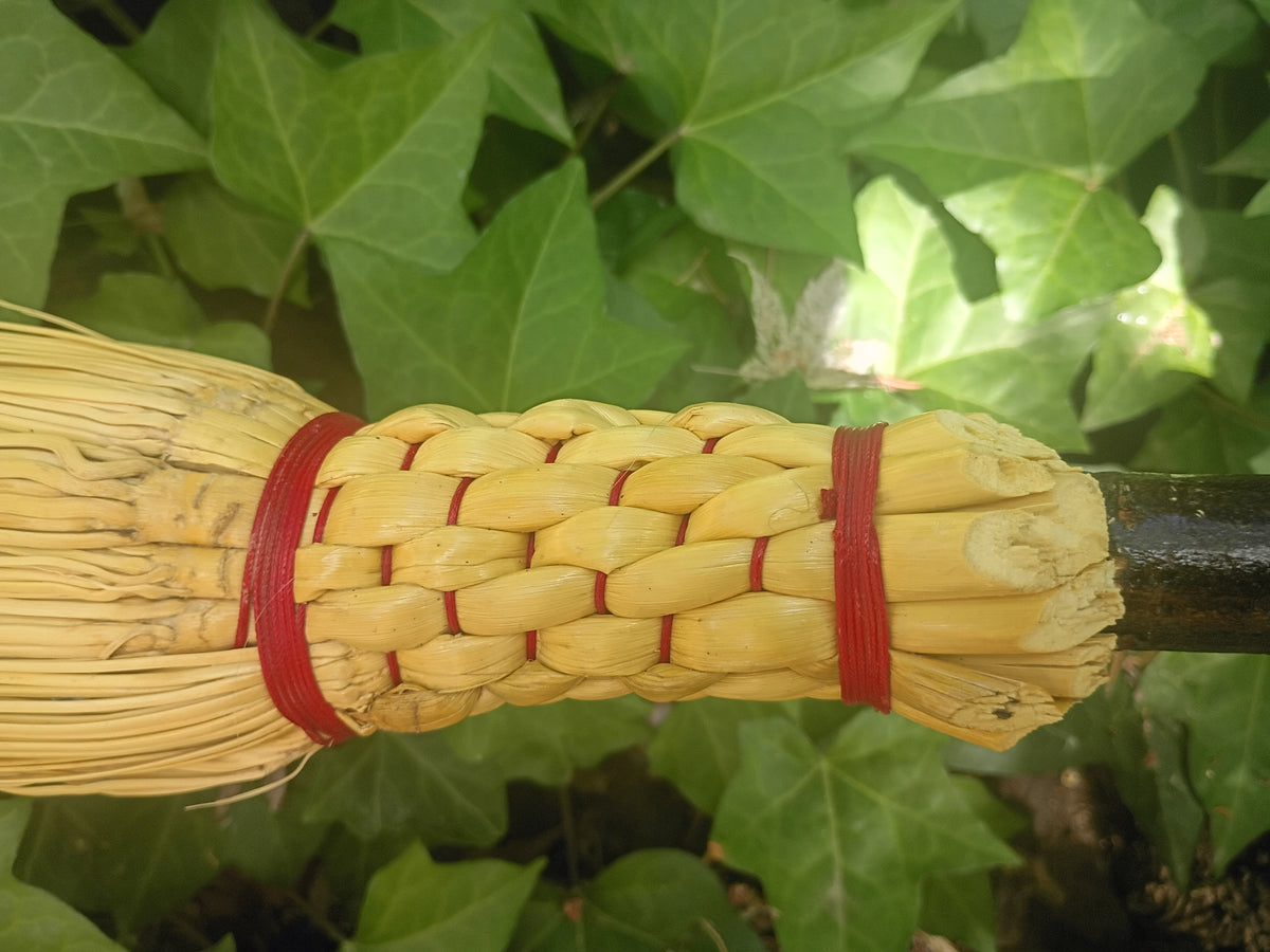 Hamsa Broom