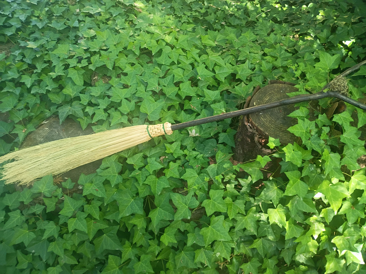 Life Renewal Forked Broom