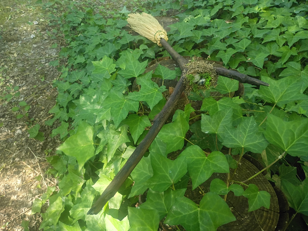 Life Renewal Forked Broom