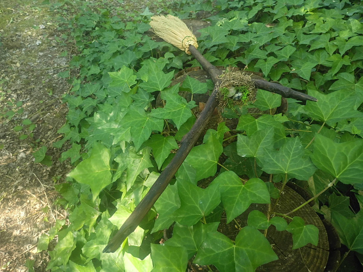 Life Renewal Forked Broom