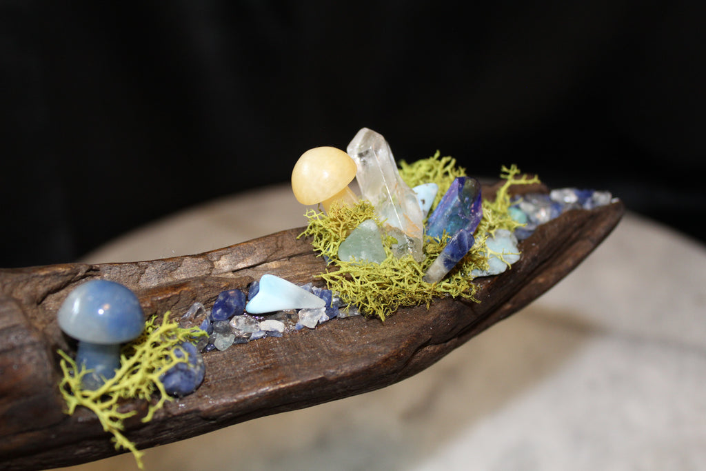 Nature’s Eye Driftwood Planter