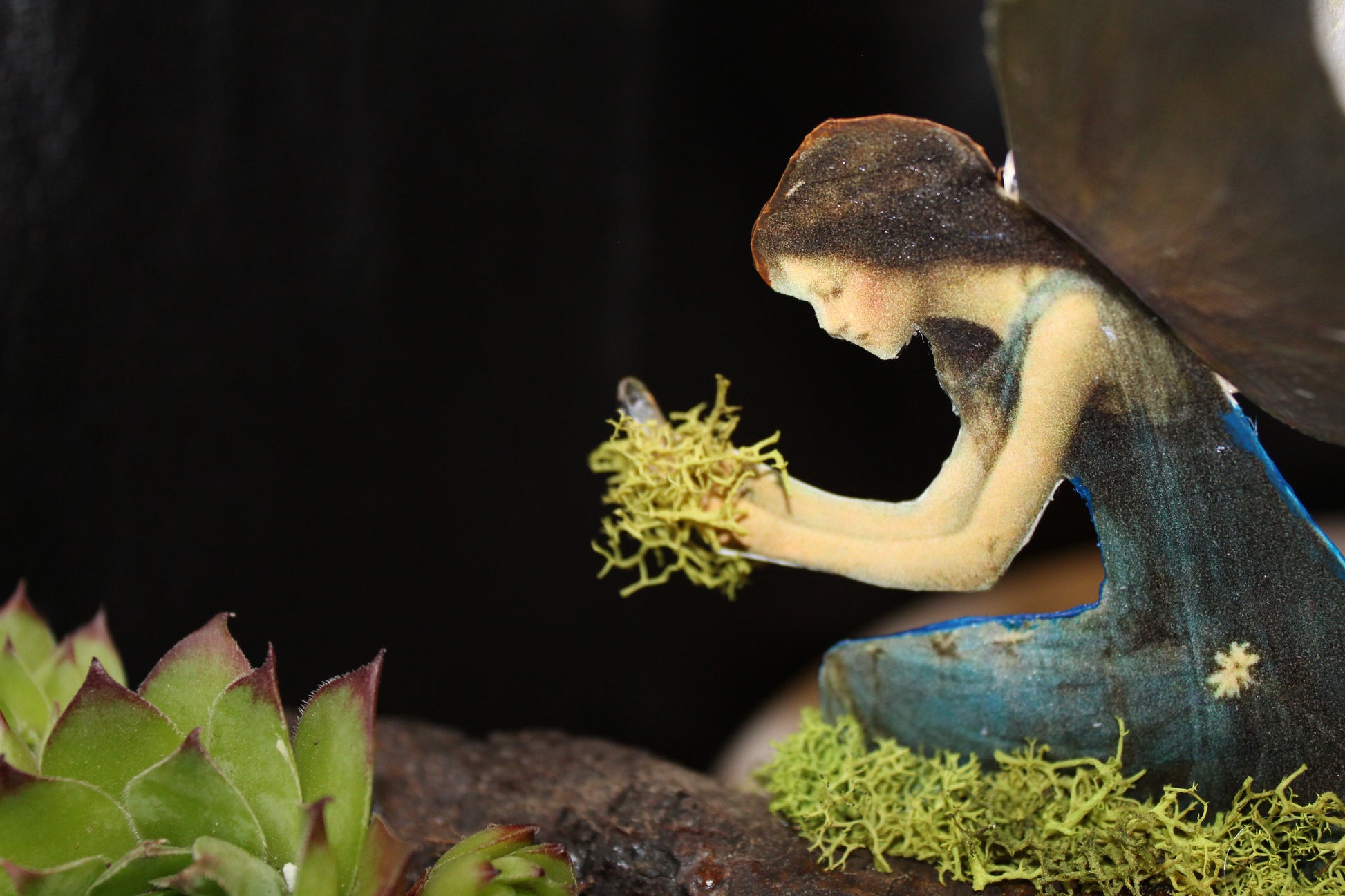 Nature’s Eye Driftwood Planter