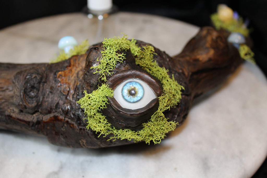 Nature’s Eye Driftwood Planter